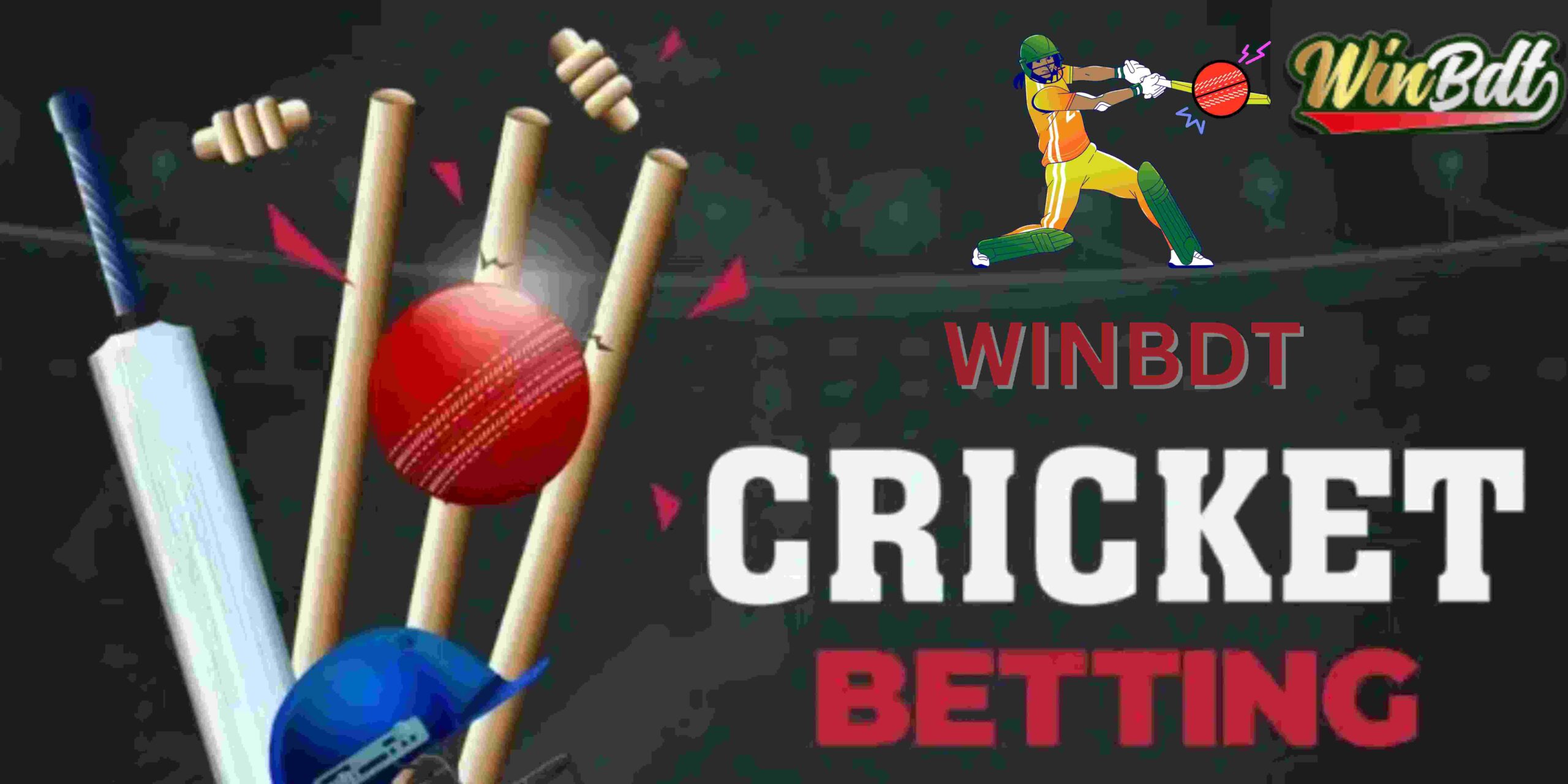 Winbdt Cricket